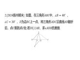專(zhuān)題復(fù)習(xí)2 幾何變換中的角度計(jì)算問(wèn)題（課件）人教版（2024）數(shù)學(xué)七年級(jí)下冊(cè)