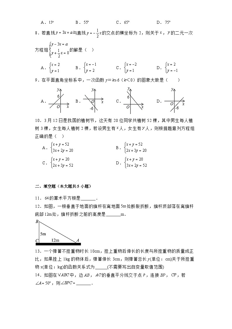 辽宁省沈阳市第四十三中学2024-2025学年上学期八年级 数学期末模拟试题（含解析）第2页