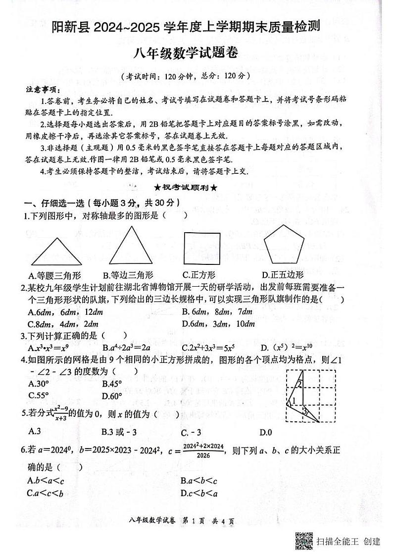 湖北省黄石市阳新县2024-2025学年 八年级上学期数学期末质量检测试题第1页