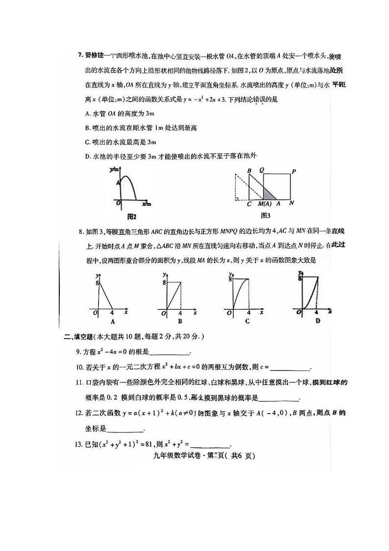 青海省西宁市2024-2025学年九年级上学期期末调研测试数学试题第2页