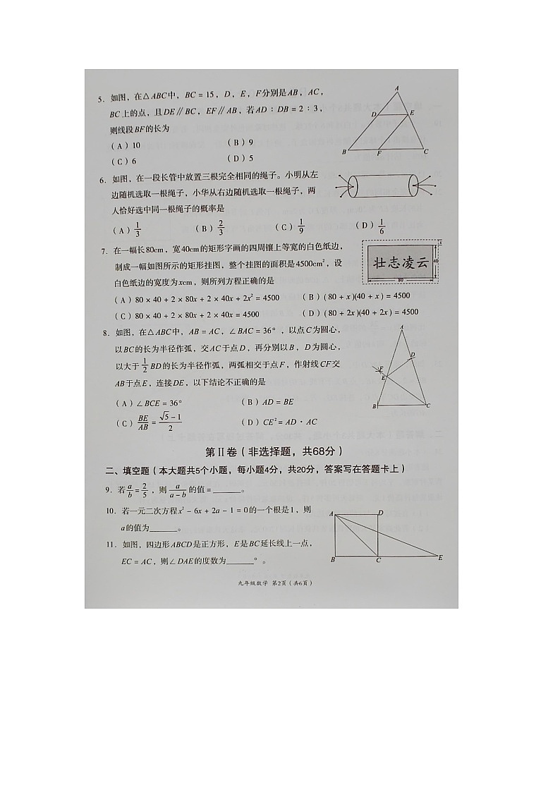 四川省成都市高新区2024-2025学年上学期期末学业质量检测九年级数学试卷第2页
