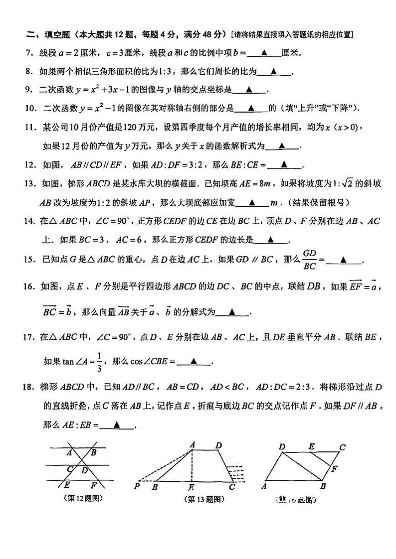 2025年上海市青浦区初三 中考一模 数学试卷第2页