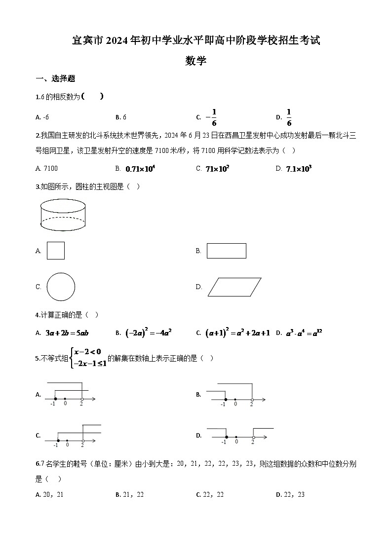 四川省宜宾市2024年中考模拟数学试题（原卷版）第1页