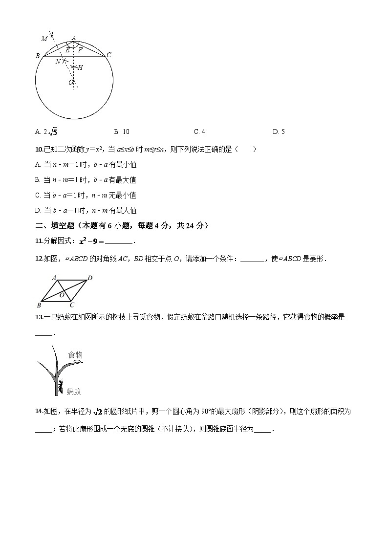 浙江省嘉兴市2024年中考模拟数学试题（原卷版）第3页