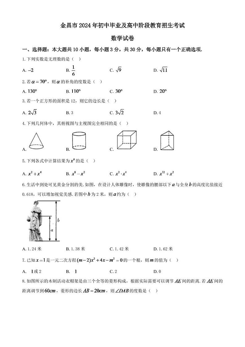 甘肃省金昌市2024年中考模拟数学试题第1页