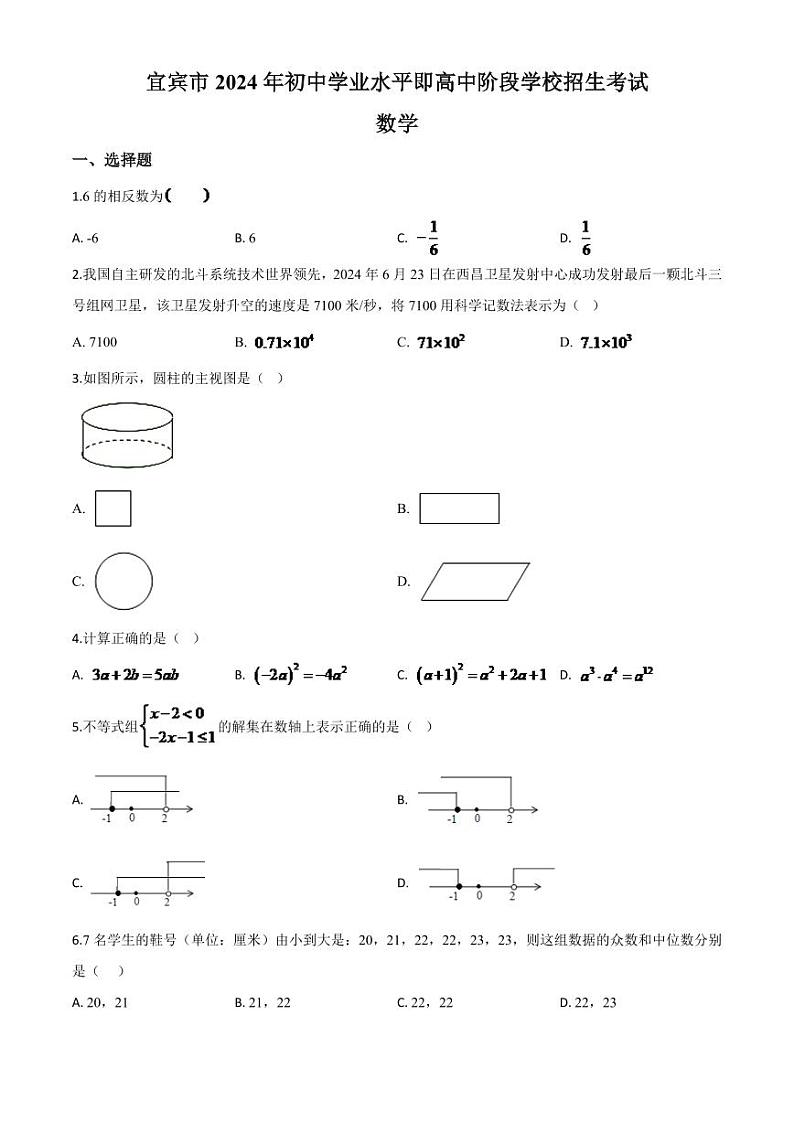 四川省宜宾市2024年中考模拟数学试题（原卷版）第1页