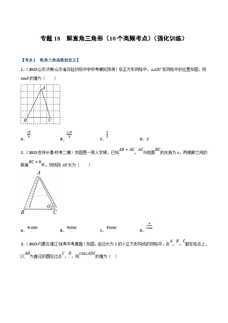 中考数学一轮复习专题18 解直角三角形（10个高频考点）（强化训练）（原卷版）第1页