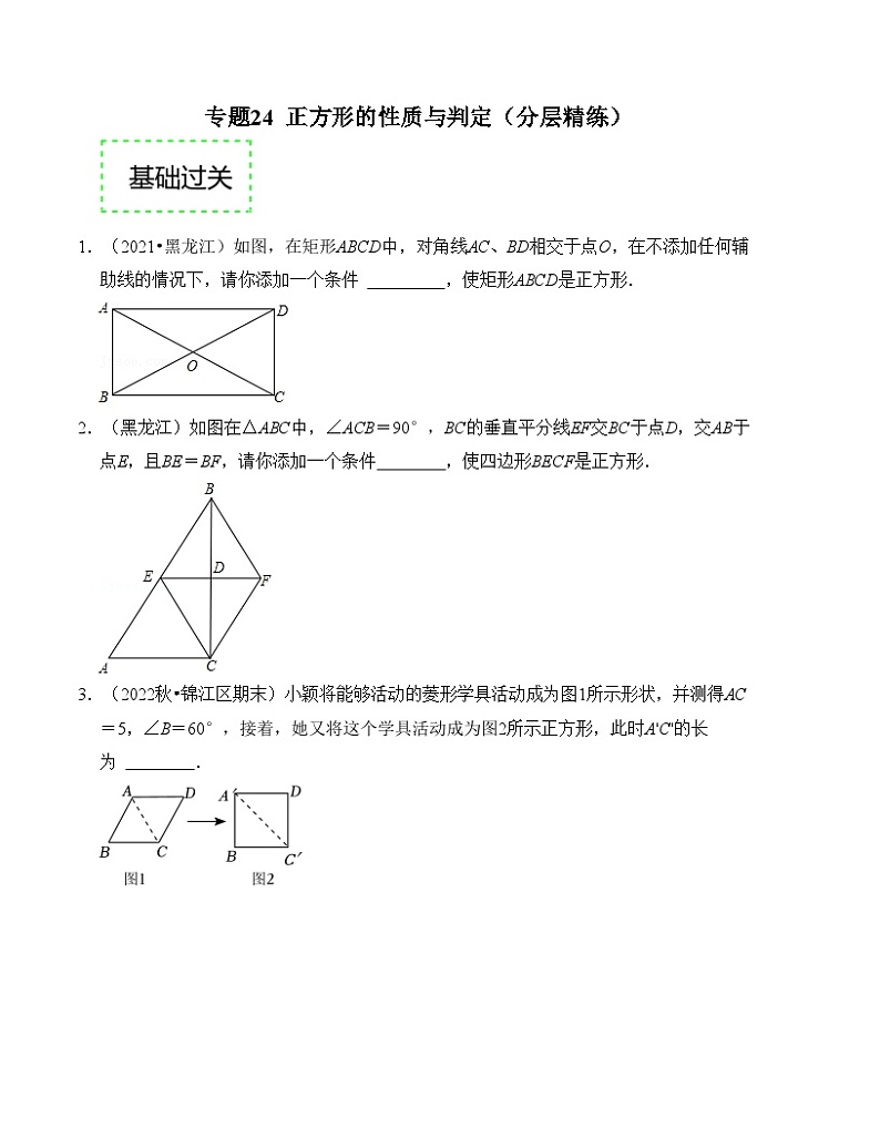 2025年中考数学一轮复习分层精练专题24 正方形的性质与判定(原卷版）第1页