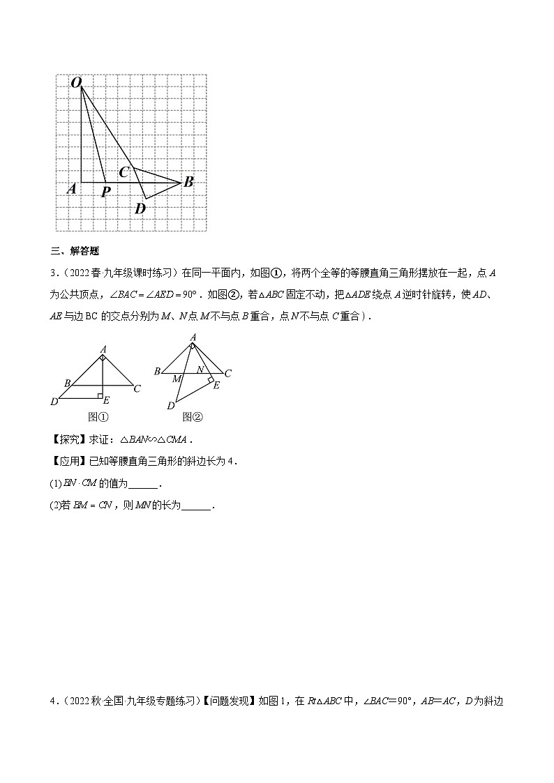 中考数学二轮培优训练第12讲 相似三角形中的“手拉手”旋转型（原卷版）第2页