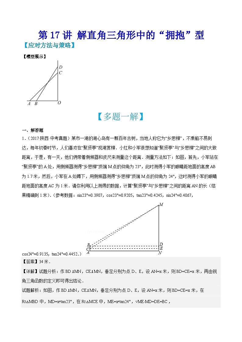 中考数学二轮培优训练第17讲 解直角三角形中的“拥抱”型（解析版）第1页