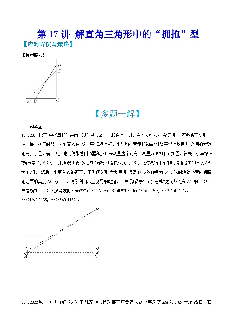中考数学二轮培优训练第17讲 解直角三角形中的“拥抱”型（原卷版）第1页