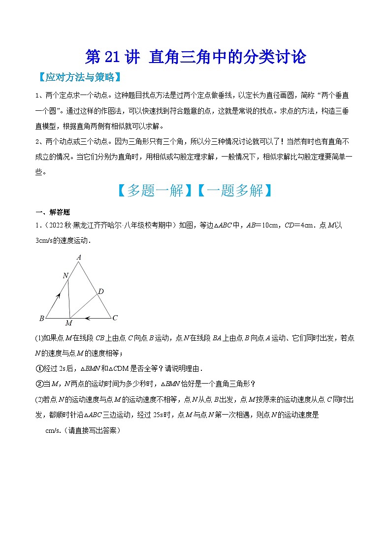 中考数学二轮培优训练第21讲 直角三角中的分类讨论（原卷版）第1页