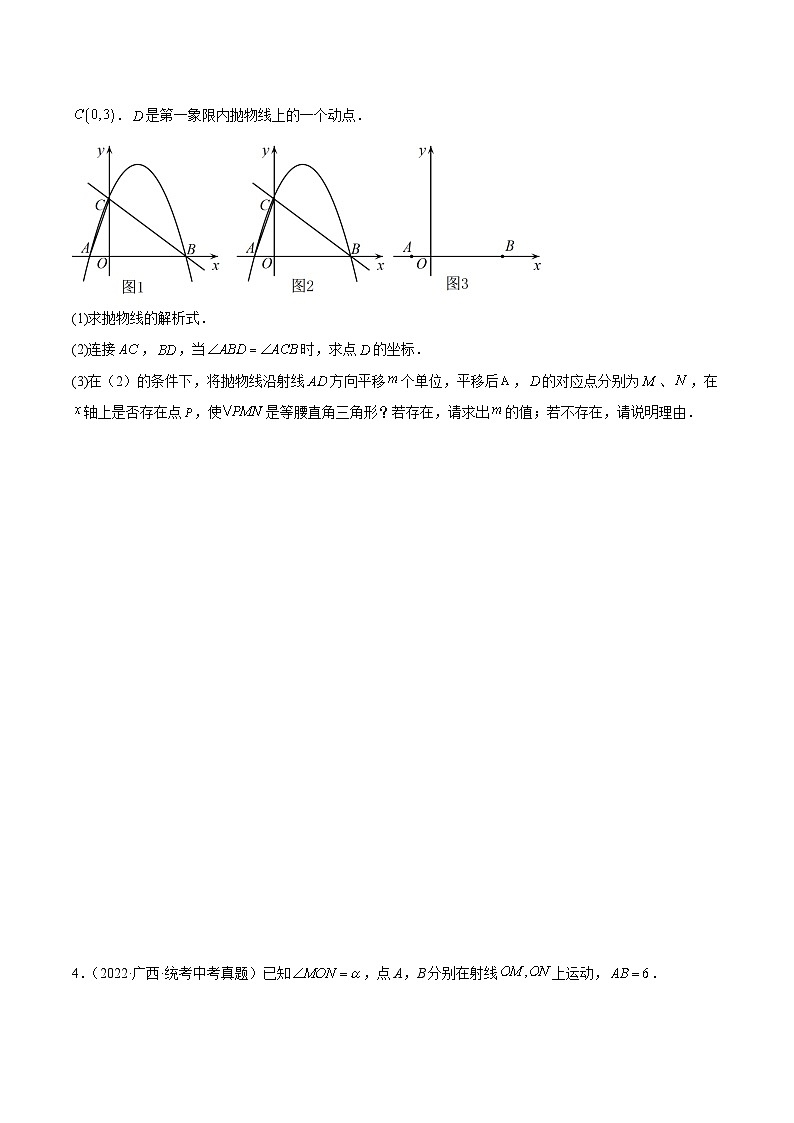 中考数学二轮培优训练第21讲 直角三角中的分类讨论（原卷版）第3页