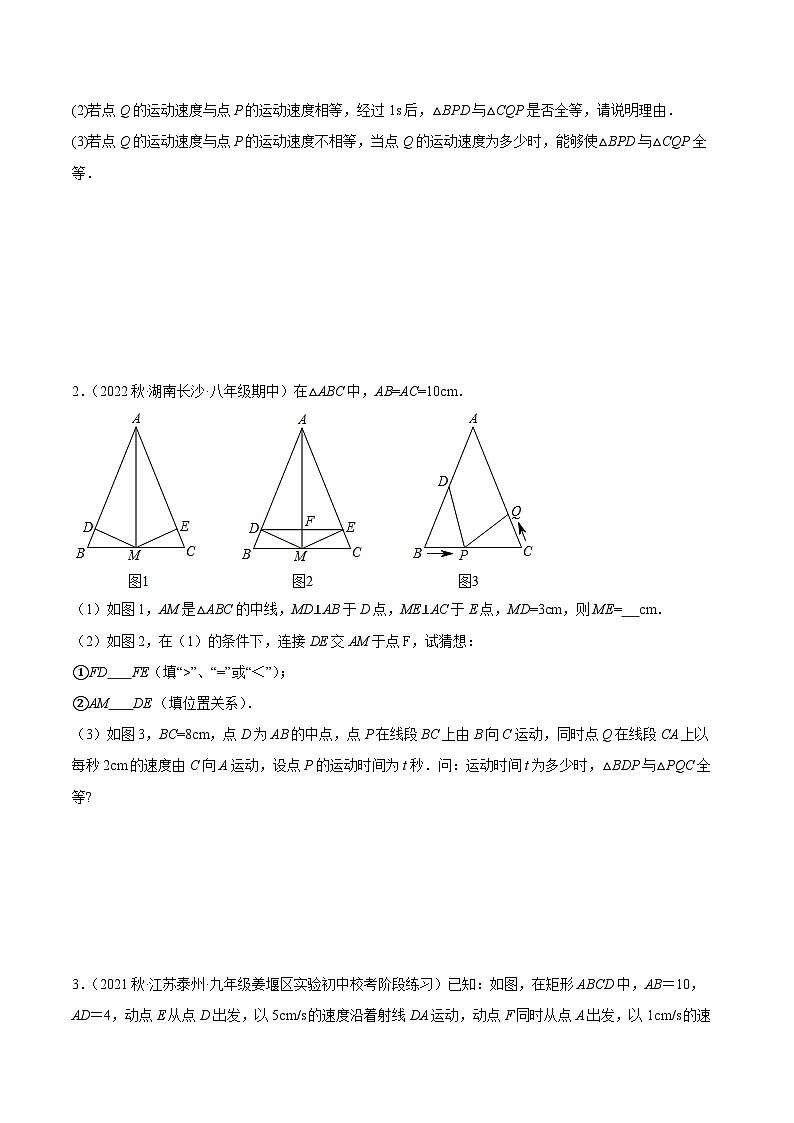 中考数学二轮培优训练第22讲 相似三角形中的分类讨论（原卷版）第2页