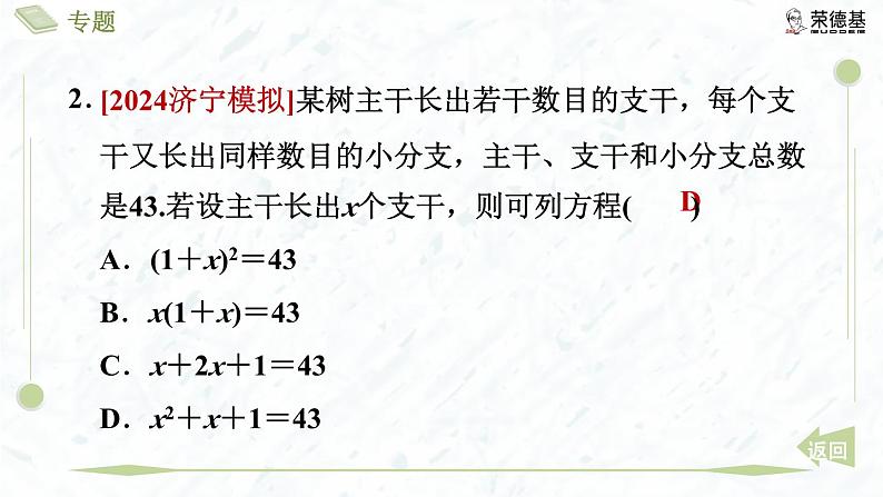 专题4 一元二次方程的其他应用第5页