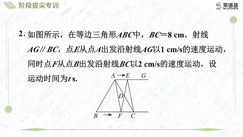 阶段拔尖专训2 特殊四边形与等边三角形综合第6页