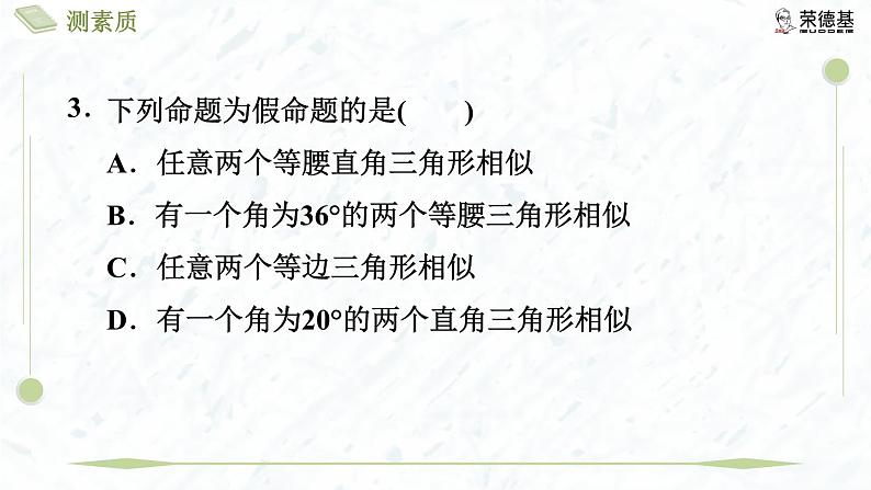 测素质 相似三角形的判定第7页