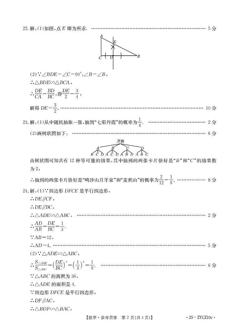 2024-2025学年度第一学期期末九年级数学 数学ZYCZ10c答案(1)(1)第2页