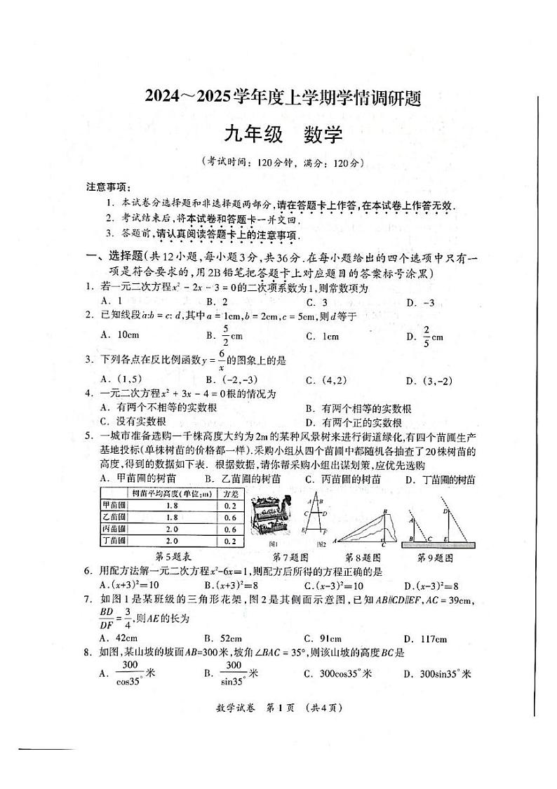 广西壮族自治区桂林市2024-2025学年上学期九年级上学期数学期末考试卷第1页
