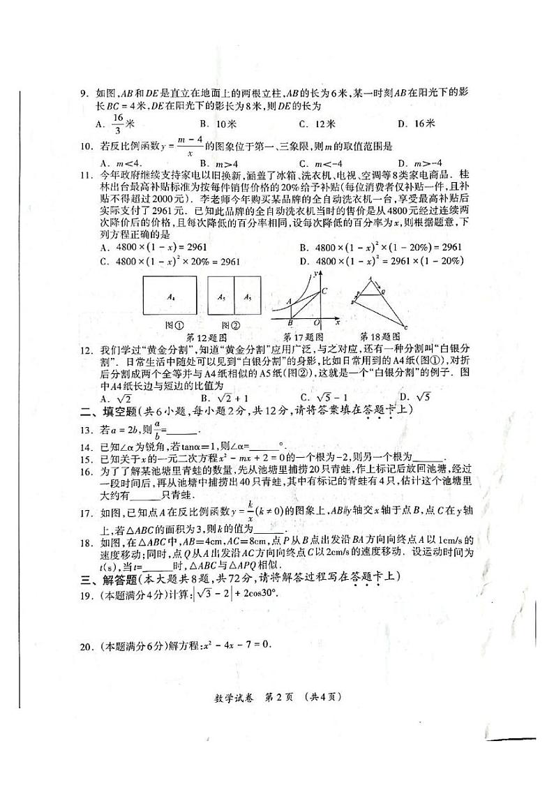 广西壮族自治区桂林市2024-2025学年上学期九年级上学期数学期末考试卷第2页