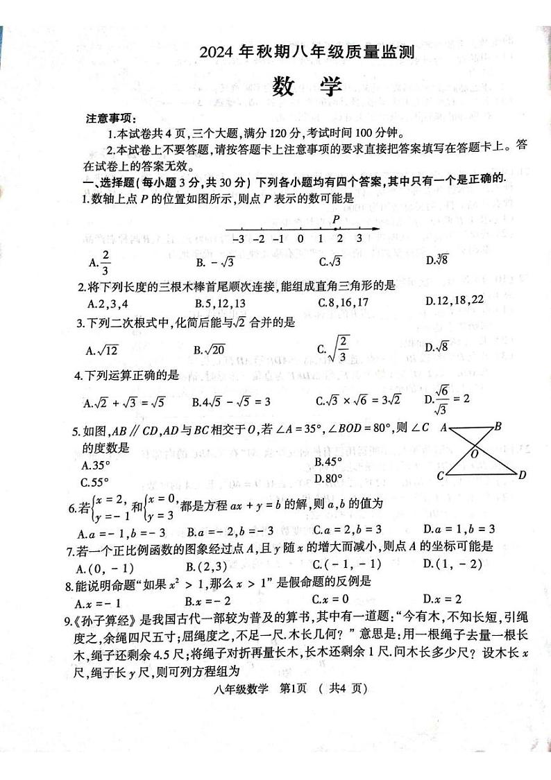 河南省驻马店市驿城区2024--2025学年八年级上学期数学期末试题第1页