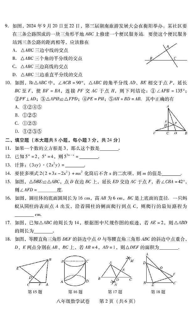 湖南省衡阳市常宁市2024-2025学年八年级上学期1月期末数学试题第2页