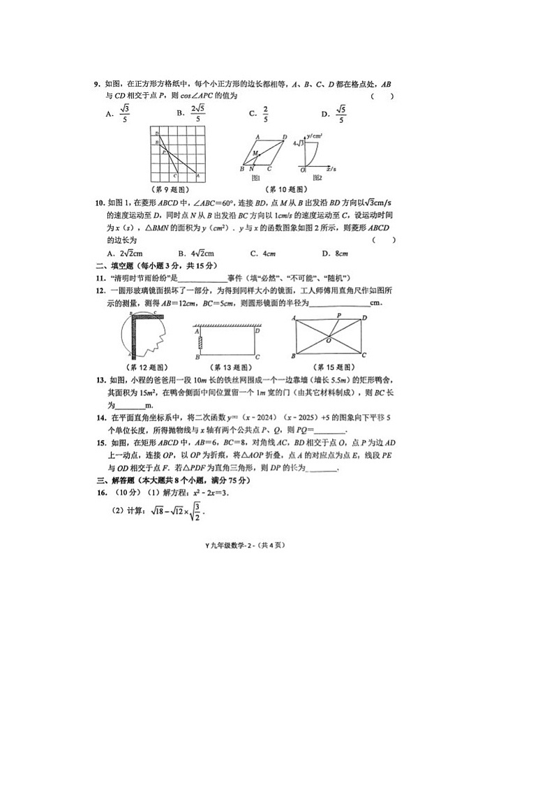 河南省驻马店市泌阳县2024-2025学年九年级上学期期末数学试题第2页