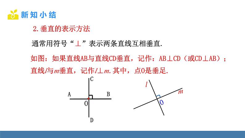 北师大版（2024）七年级数学（下）课件 2.1两条直线的位置关系  第2课时  垂线与垂线段第6页