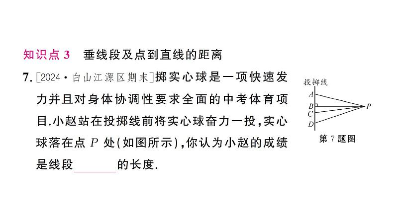 初中数学新人教版七年级下册7.1.2 两条直线垂直 作业课件2025春第8页