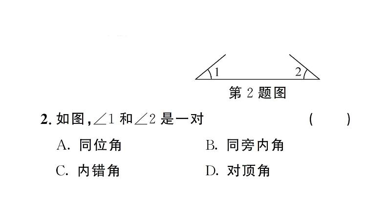 初中数学新人教版七年级下册 7.1.3 两条直线被第三条直线所截 作业课件2025春第3页