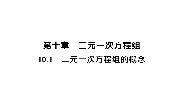 初中数学新人教版七年级下册10.1 二元一次方程组的概念作业课件2025春第1页