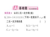 初中數(shù)學新人教版七年級下冊10.1 二元一次方程組的概念作業(yè)課件2025春