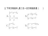 初中數(shù)學新人教版七年級下冊10.1 二元一次方程組的概念作業(yè)課件2025春