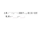 初中數(shù)學新人教版七年級下冊10.1 二元一次方程組的概念作業(yè)課件2025春
