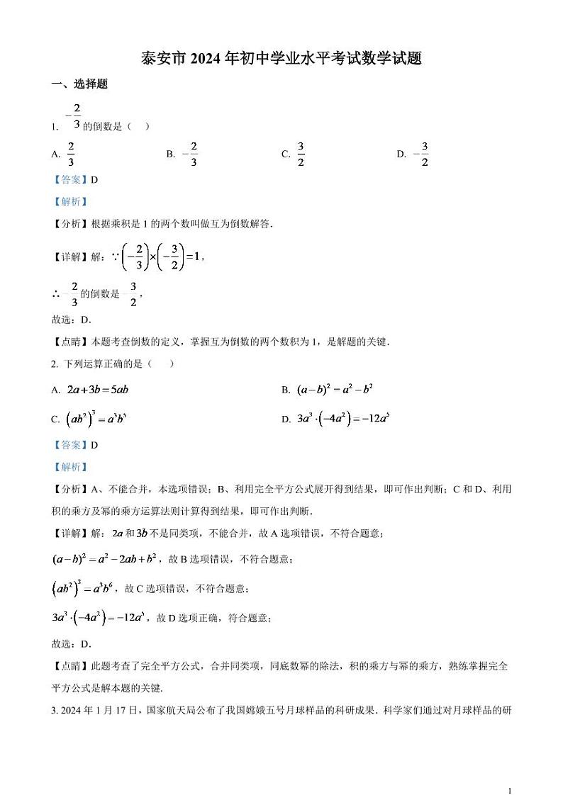 2024年山东省泰安市中考数学模拟试题（解析版）第1页