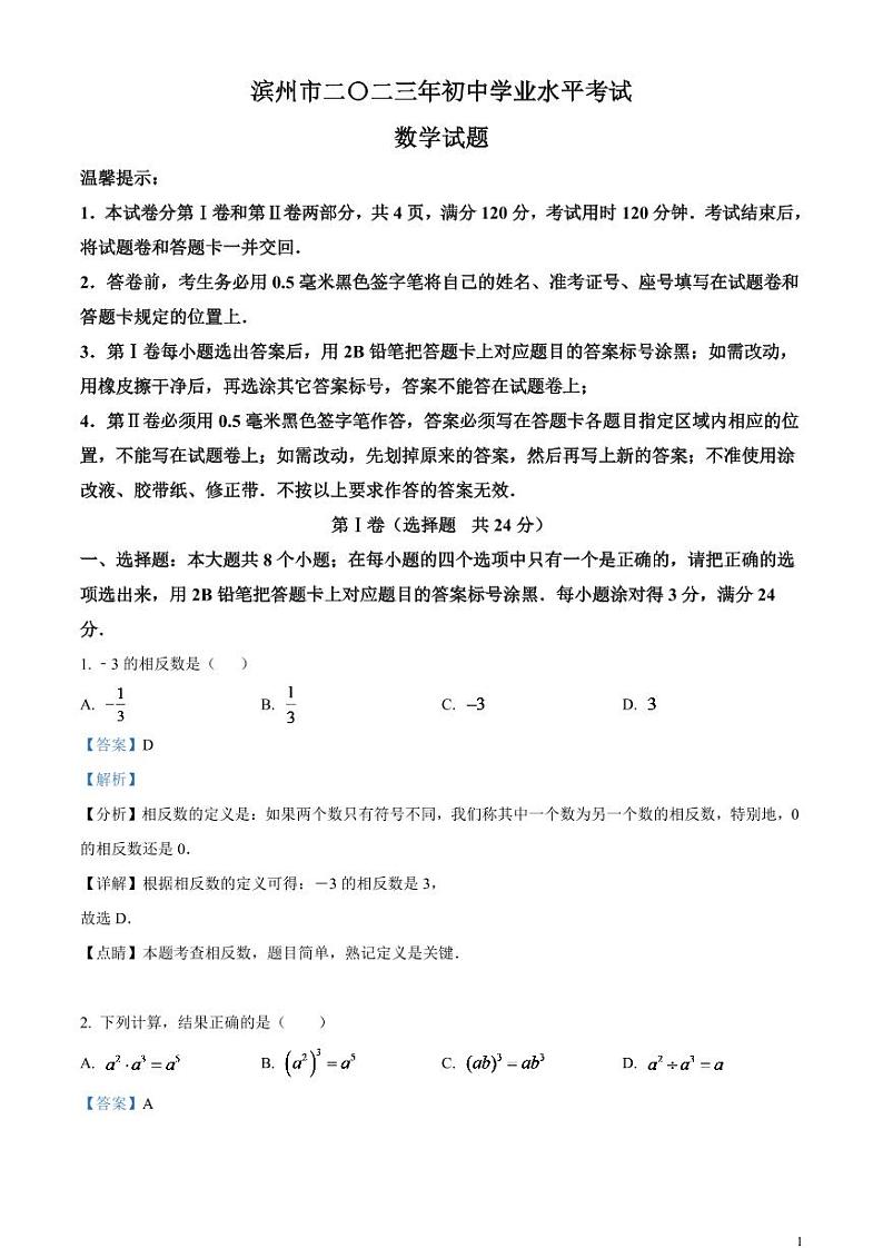 2024年山东省滨州市中考数学模拟试题（解析版）第1页