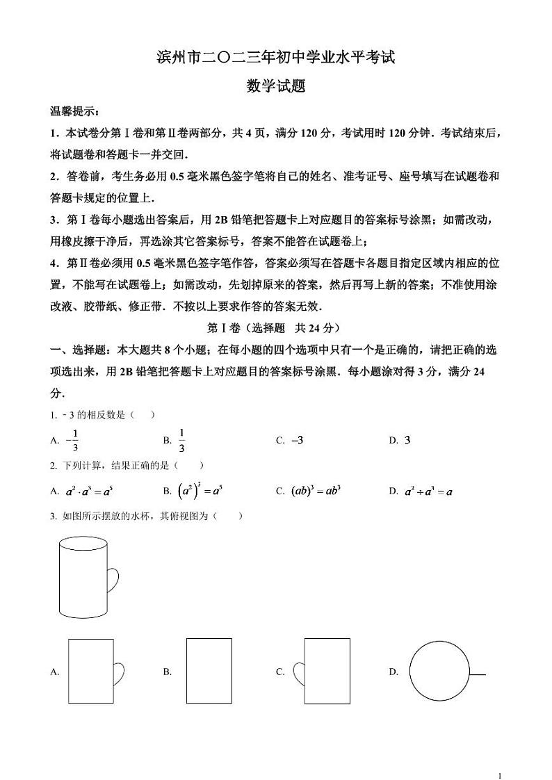 2024年山东省滨州市中考数学模拟试题（原卷版）第1页