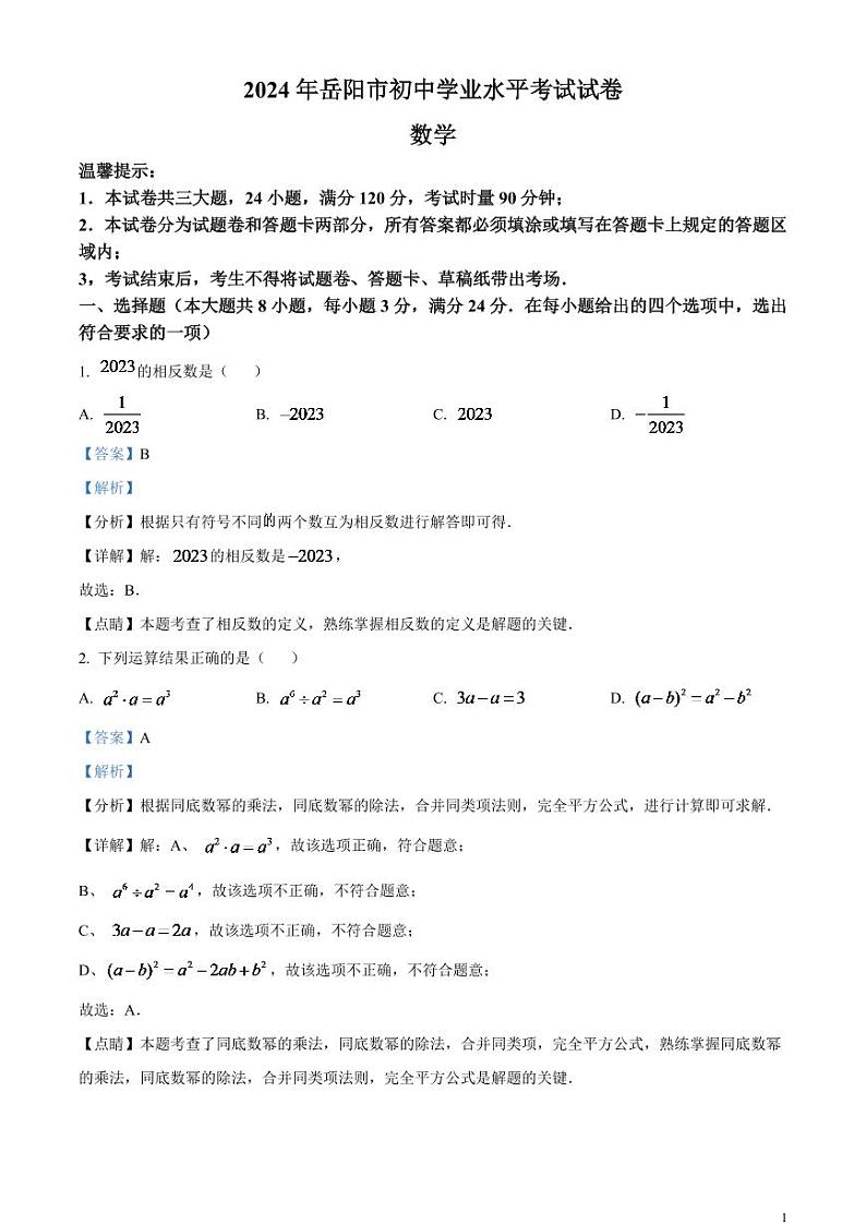 2024年湖南省岳阳市中考数学模拟试题（解析版）第1页