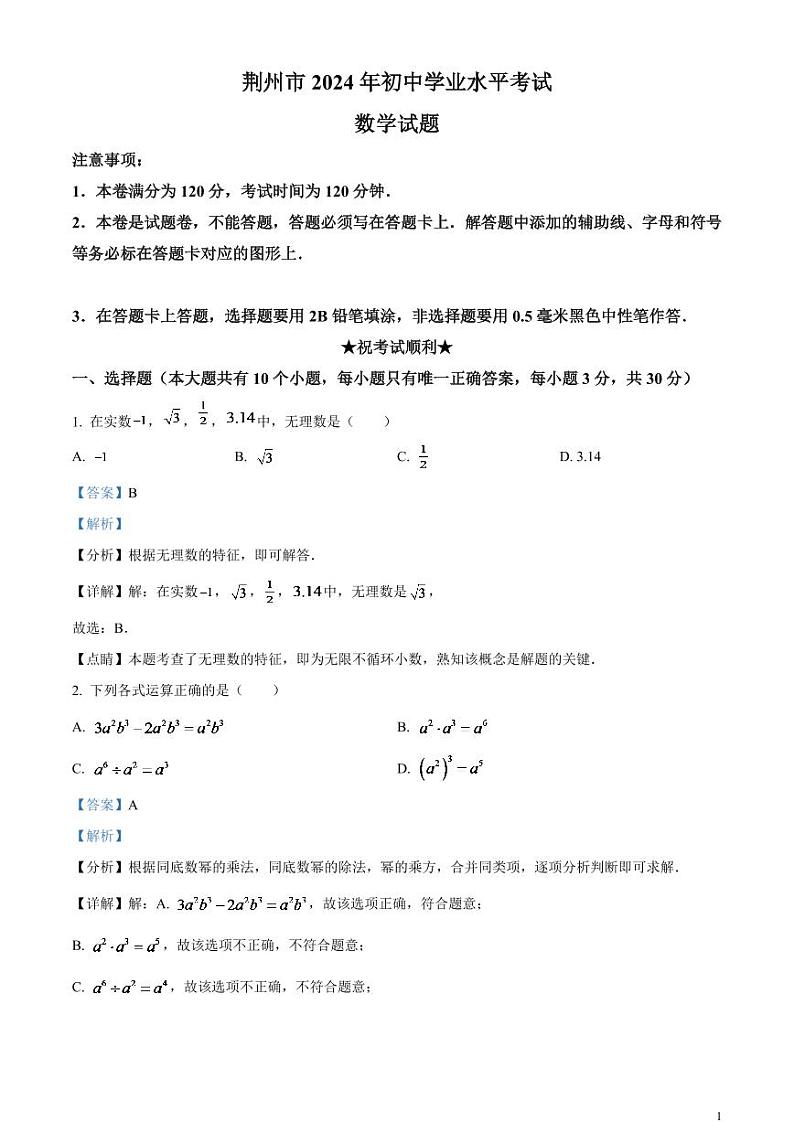 2024年湖北省荆州市中考数学模拟试题（解析版）第1页