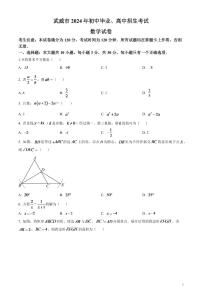 2024年甘肃省武威市中考数学模拟试题（原卷版）