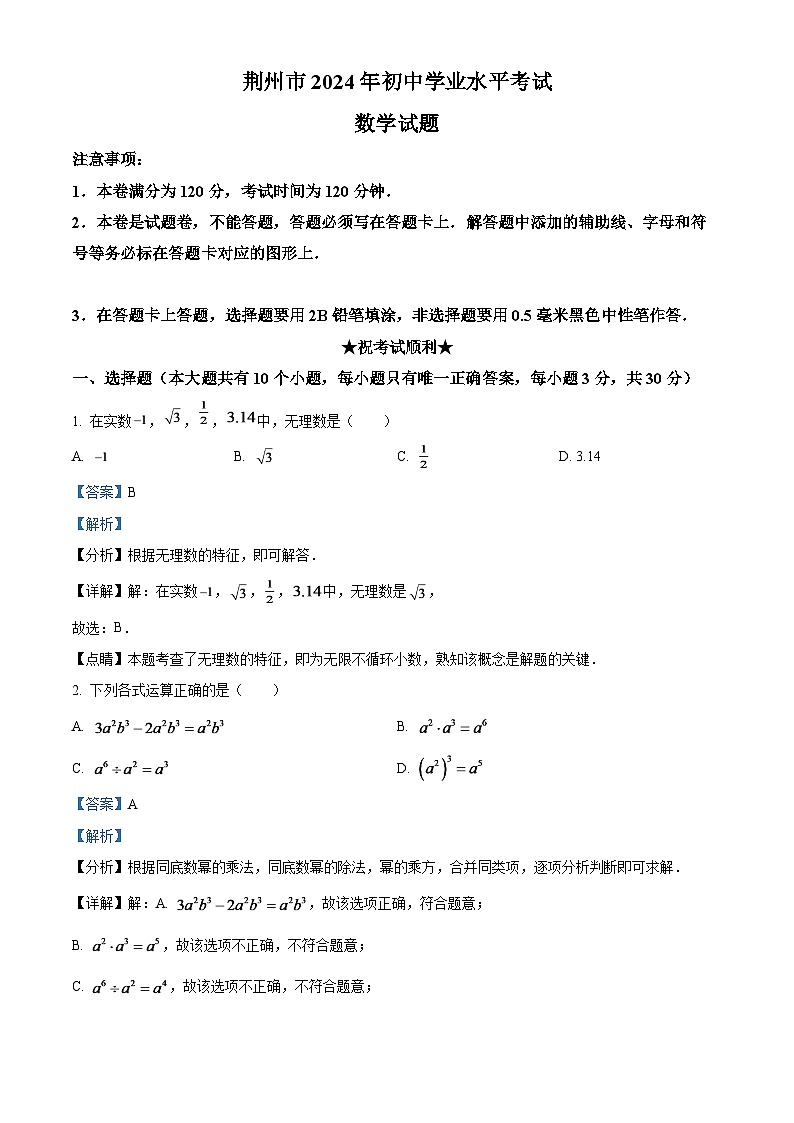2024年湖北省荆州市中考数学模拟试题（解析版）第1页
