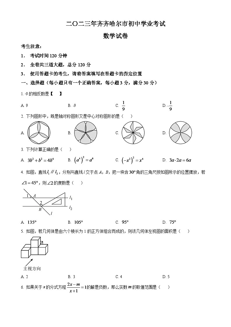 2024年黑龙江省齐齐哈尔市中考数学模拟试题（原卷版）第1页