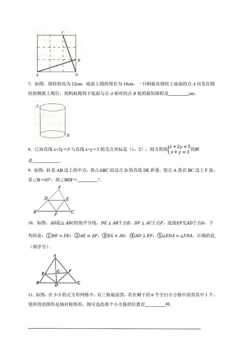 【决战期末·50道填空题专练】苏科版八年级上册期末数学卷试卷(原卷版+解析版)第2页