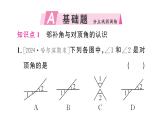 7.1.1 兩條直線相交（習(xí)題課件）2024-2025學(xué)年人教版七年級數(shù)學(xué)下冊