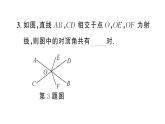 7.1.1 兩條直線相交（習(xí)題課件）2024-2025學(xué)年人教版七年級數(shù)學(xué)下冊