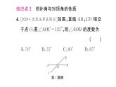 7.1.1 兩條直線相交（習(xí)題課件）2024-2025學(xué)年人教版七年級數(shù)學(xué)下冊