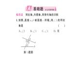 7.1.3 两条直线被第三条直线所截（习题课件）2024-2025学年人教版七年级数学下册