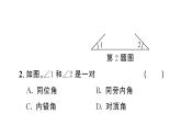 7.1.3 两条直线被第三条直线所截（习题课件）2024-2025学年人教版七年级数学下册