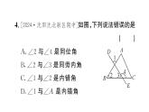 7.1.3 两条直线被第三条直线所截（习题课件）2024-2025学年人教版七年级数学下册