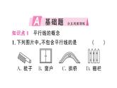 7.2.1 平行線的概念（習(xí)題課件）2024-2025學(xué)年人教版七年級(jí)數(shù)學(xué)下冊(cè)